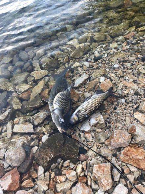 krapi ne grepin e peshkatarit