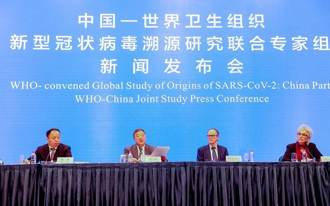 A WHO szakértőcsapat tanulmányozási eredményét hozta nyilvánosságra