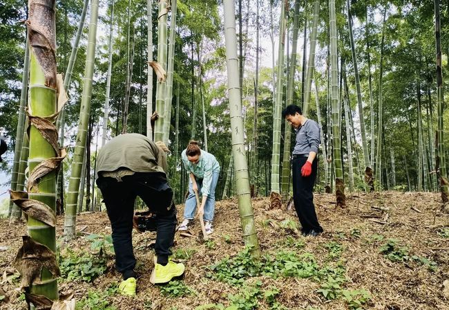 Economia digitală aduce oamenilor din mediul rural multe dividende