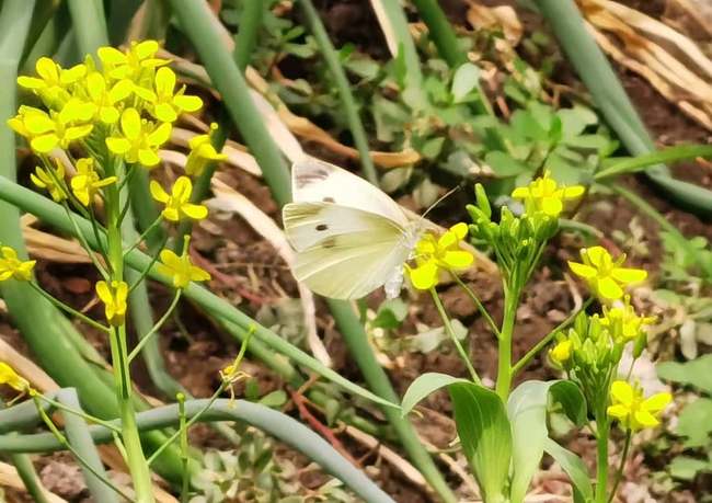 Siguranța zilei de mâine și armonia în viață aduc fericirea. Povestea unei familii de fermieri din Usu