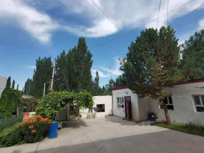 Siguranța zilei de mâine și armonia în viață aduc fericirea. Povestea unei familii de fermieri din Usu